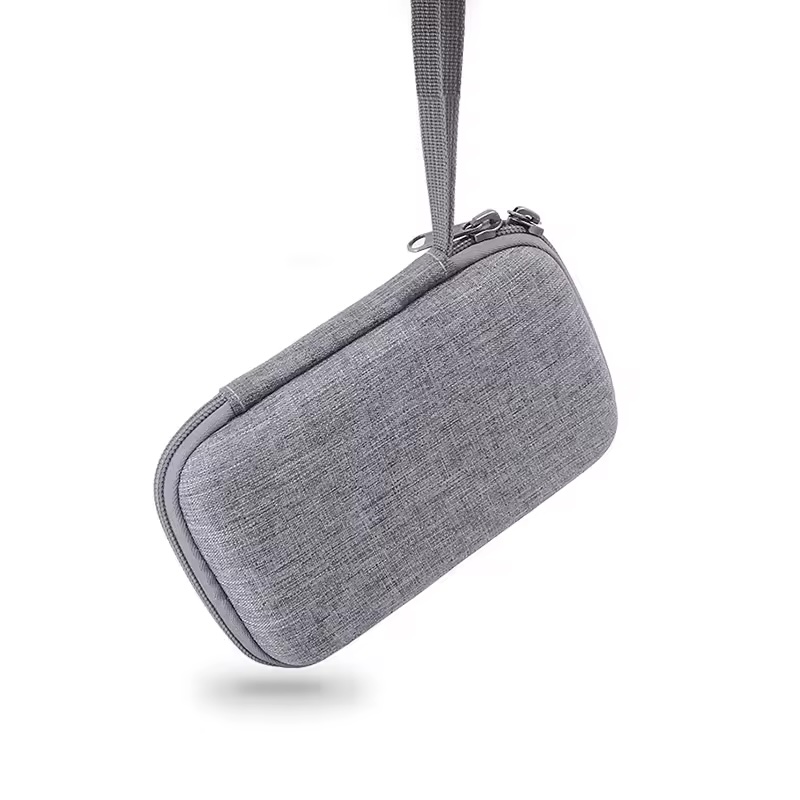 EFB Case
